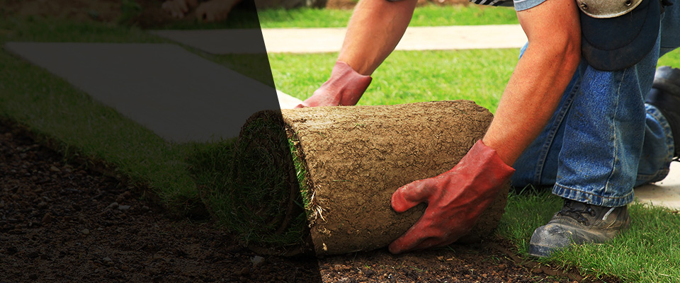 Kansas City Landscapers